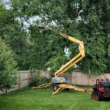 Best Lawn Watering Services  in Centre Grove, NJ